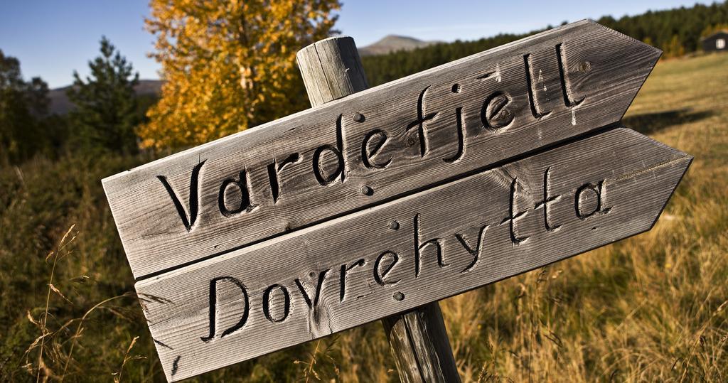Отель Oigardseter Fjellstue Hovringen Экстерьер фото