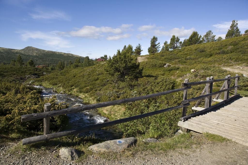 Отель Oigardseter Fjellstue Hovringen Экстерьер фото